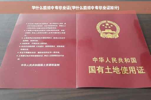 学什么能给中专毕业证(学什么能给中专毕业证加分)