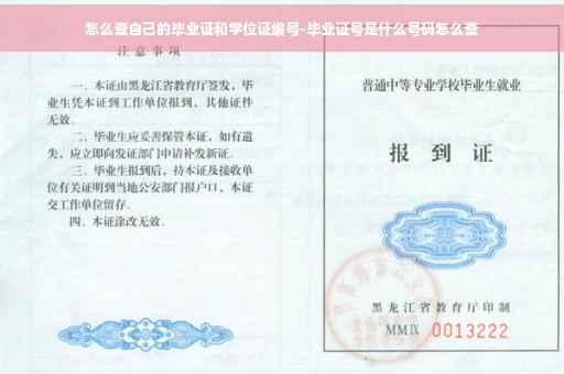 怎么查自己的毕业证和学位证编号-毕业证号是什么号码怎么查