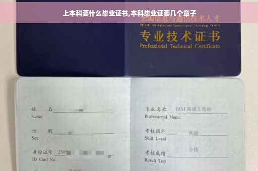 上本科要什么毕业证书,本科毕业证要几个章子