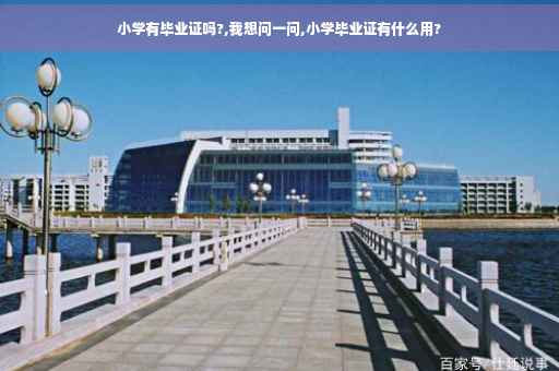 小学有毕业证吗?,我想问一问,小学毕业证有什么用?