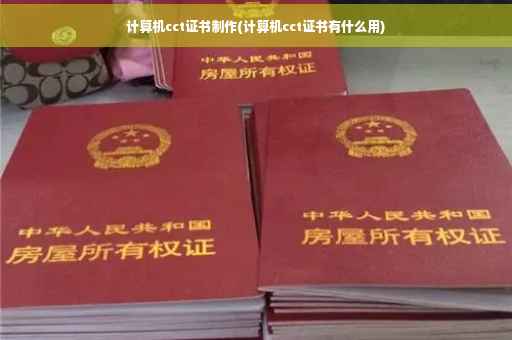 计算机cct证书制作(计算机cct证书有什么用)