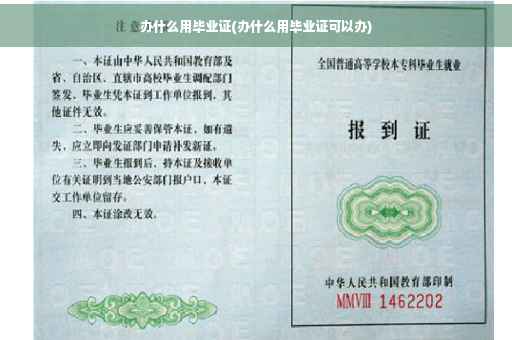 办什么用毕业证(办什么用毕业证可以办)