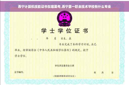 西宁计算机技能证书在哪里考,西宁第一职业技术学校有什么专业