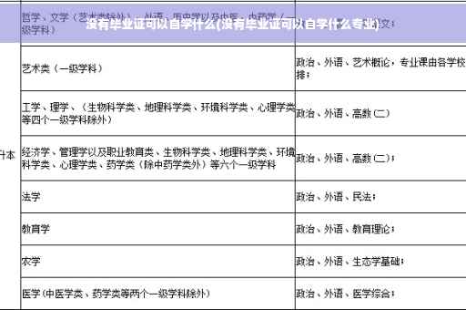 没有毕业证可以自学什么(没有毕业证可以自学什么专业)