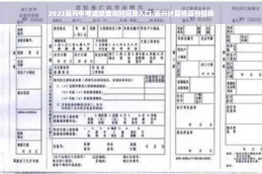 2023嘉兴中考成绩查询时间及入口,嘉兴计算机证书初级