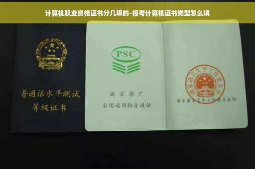 计算机职业资格证书分几级的-报考计算机证书类型怎么填