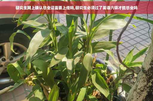 研究生网上确认毕业证需要上传吗,研究生必须过了英语六级才能毕业吗