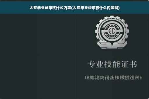 大专毕业证审核什么内容(大专毕业证审核什么内容啊)