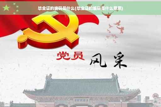 毕业证的编码是什么(毕业证的编码是什么意思)