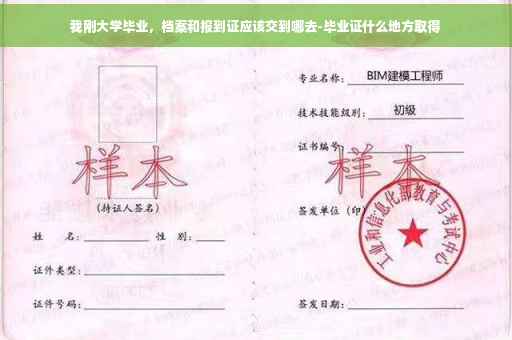 我刚大学毕业，档案和报到证应该交到哪去-毕业证什么地方取得