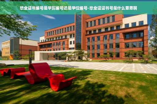 毕业证书编号是学历编号还是学位编号-毕业证证书号是什么意思啊
