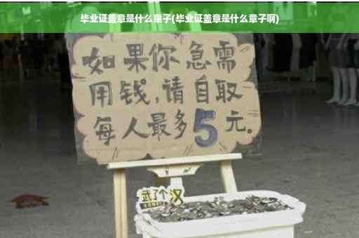 毕业证盖章是什么章子(毕业证盖章是什么章子啊)