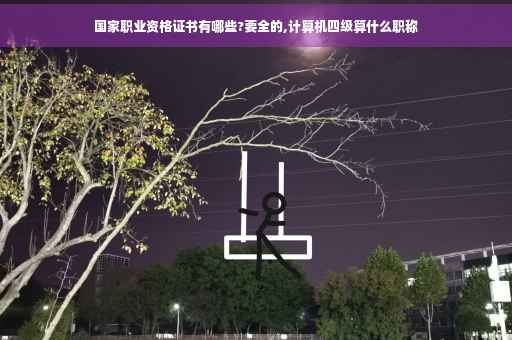国家职业资格证书有哪些?要全的,计算机四级算什么职称