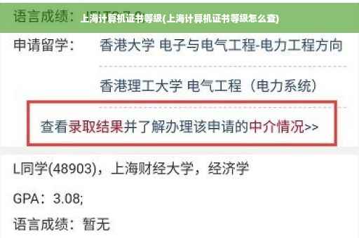 上海计算机证书等级(上海计算机证书等级怎么查)