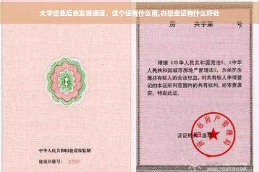 大学毕业后会发派遣证，这个证有什么用,办毕业证有什么好处
