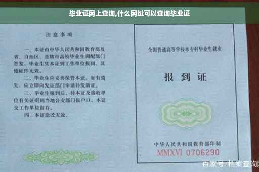 毕业证网上查询,什么网址可以查询毕业证