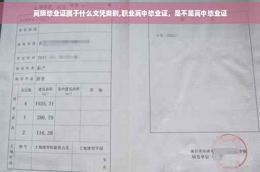 高级毕业证属于什么文凭类别,职业高中毕业证，是不是高中毕业证