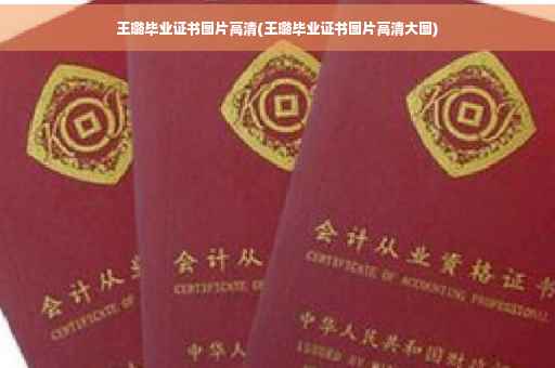 王璐毕业证书图片高清(王璐毕业证书图片高清大图)