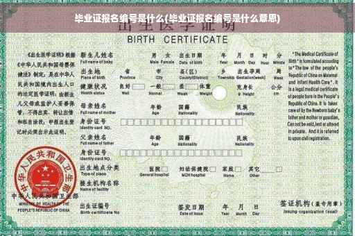 毕业证报名编号是什么(毕业证报名编号是什么意思)