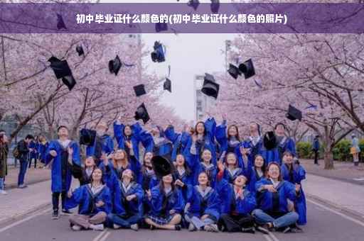 初中毕业证什么颜色的(初中毕业证什么颜色的照片)