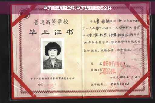 中环能源是国企吗,中环智新能源怎么样