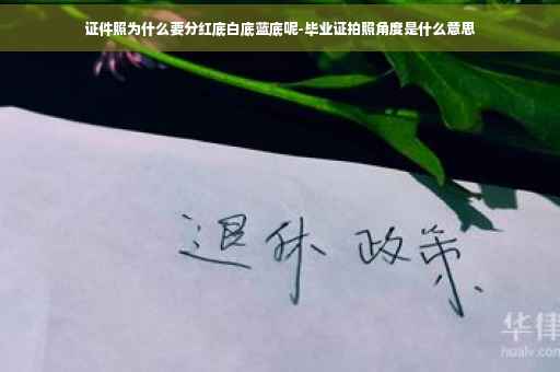 证件照为什么要分红底白底蓝底呢-毕业证拍照角度是什么意思