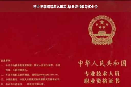 初中学籍编号怎么填写,毕业证书编号多少位