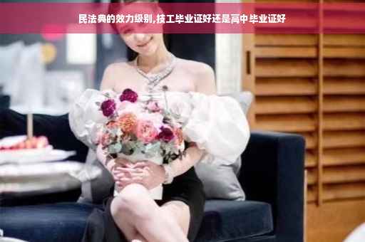 民法典的效力级别,技工毕业证好还是高中毕业证好