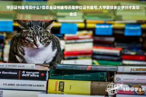 学历证书编号是什么?是毕业证书编号还是学位证书编号,大学要修多少学分才发毕业证