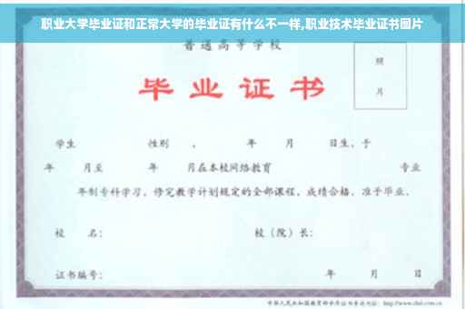 职业大学毕业证和正常大学的毕业证有什么不一样,职业技术毕业证书图片