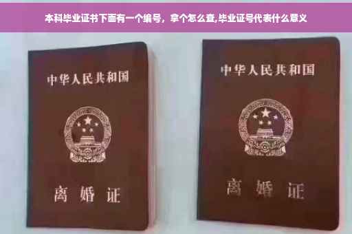 本科毕业证书下面有一个编号，拿个怎么查,毕业证号代表什么意义
