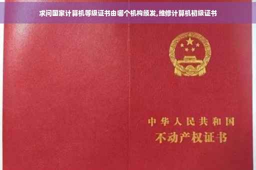 求问国家计算机等级证书由哪个机构颁发,维修计算机初级证书