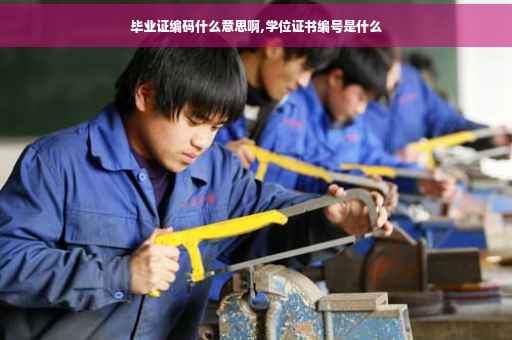 毕业证编码什么意思啊,学位证书编号是什么