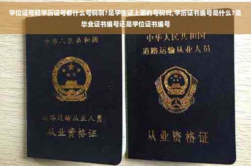 学位证号和学历证号都什么号码啊?是学生证上面的号码吗,学历证书编号是什么?是毕业证书编号还是学位证书编号
