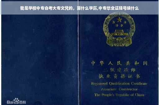 我是学校中专自考大专文凭的，算什么学历,中专毕业证括号填什么