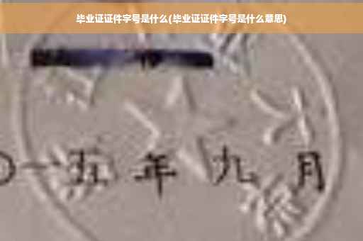 毕业证证件字号是什么(毕业证证件字号是什么意思)