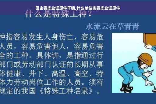 国企要毕业证原件干嘛,什么单位需要毕业证原件