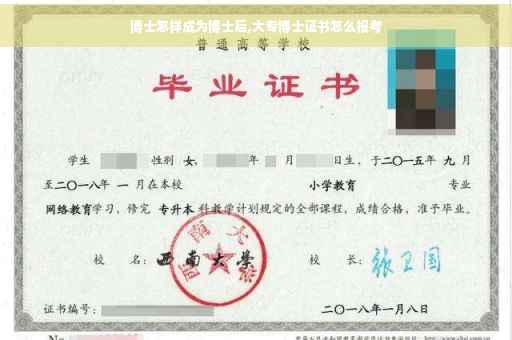 博士怎样成为博士后,大专博士证书怎么报考