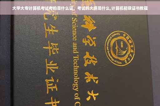 大学大专计算机考试考的是什么证，考试的大纲是什么,计算机初级证书教程