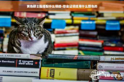 黄色硕士服搭配什么领结-毕业证领结用什么颜色的