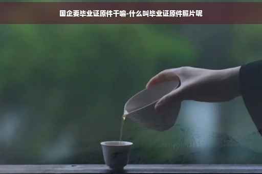 国企要毕业证原件干嘛-什么叫毕业证原件照片呢