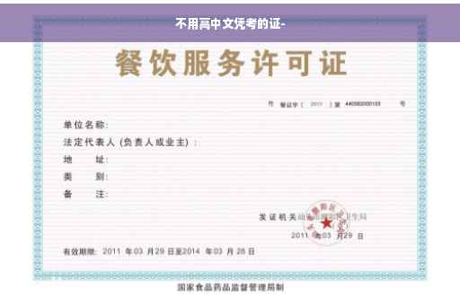 不用高中文凭考的证-