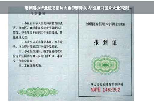 南师附小毕业证书图片大全(南师附小毕业证书图片大全高清)
