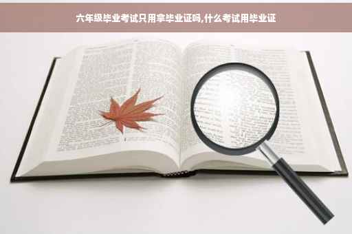 六年级毕业考试只用拿毕业证吗,什么考试用毕业证
