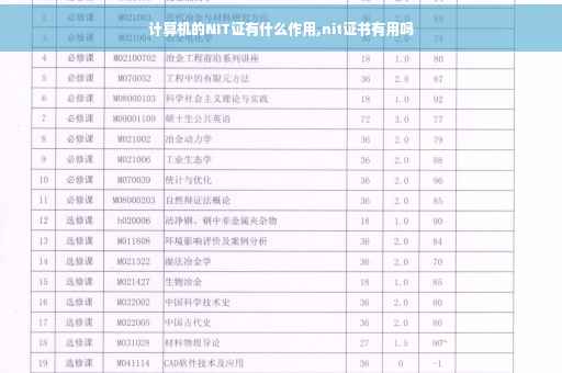 计算机的NIT证有什么作用,nit证书有用吗