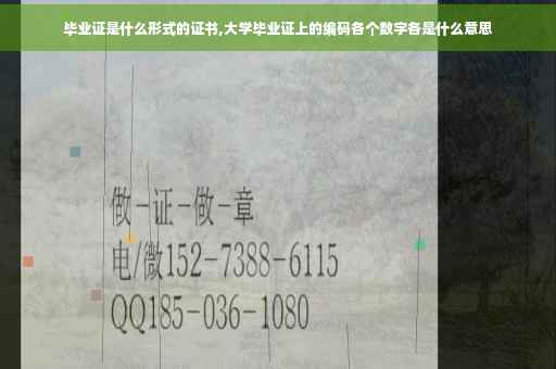 毕业证是什么形式的证书,大学毕业证上的编码各个数字各是什么意思