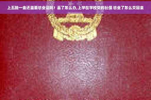 上五险一金还需要毕业证吗？丢了怎么办,上学在学校交的社保 毕业了怎么交回来