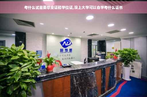 考什么试需要毕业证和学位证,没上大学可以自学考什么证书
