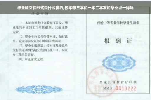 毕业证文件形式是什么样的,校本部三本和一本二本发的毕业证一样吗