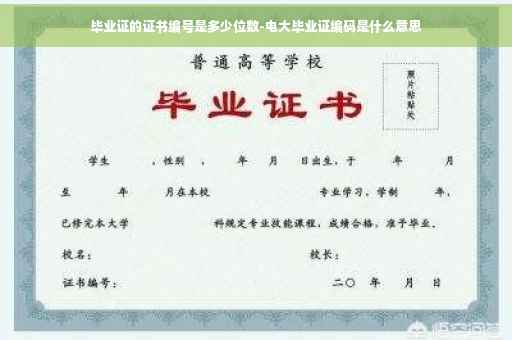 毕业证的证书编号是多少位数-电大毕业证编码是什么意思